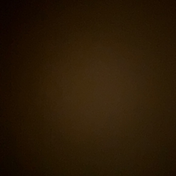 Meet your Posher, Maya - Picture 1 of 1